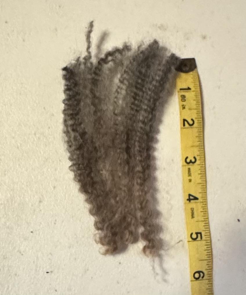 Where to Buy North American Grown Wool 2025